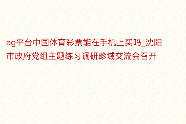 ag平台中国体育彩票能在手机上买吗_沈阳市政府党组主题练习调研畛域交流会召开