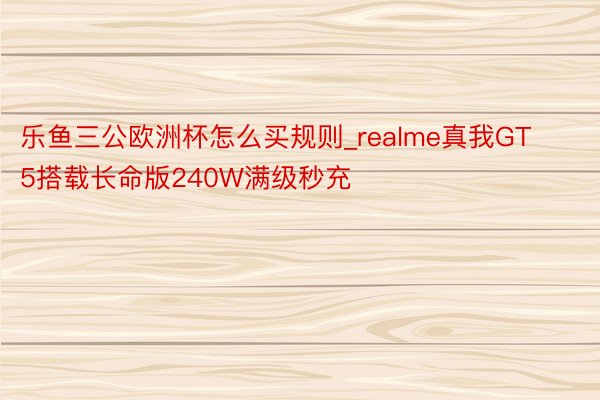 乐鱼三公欧洲杯怎么买规则_realme真我GT5搭载长命版240W满级秒充