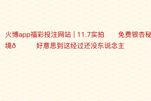 火博app福彩投注网站 | 11.7实拍‼️免费银杏秘境🍁好意思到这经过还没东说念主